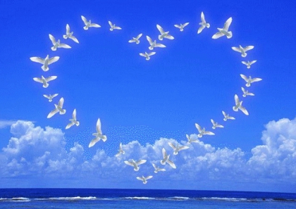 je suis vraiment amoureuse