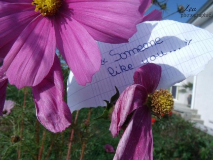 la distance c'est se qui me tue