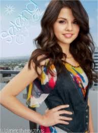 Les sorciers de Waverly Pace!!!