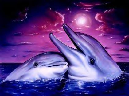 dauphins
