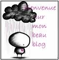 bienvenue sur mon blogue