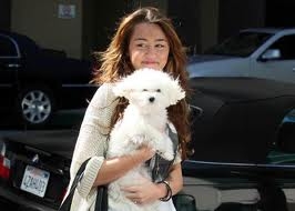 milez cyrus avec sonn chien