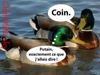 coin :)