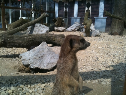                                le beau comment sa s'apelle d�ja