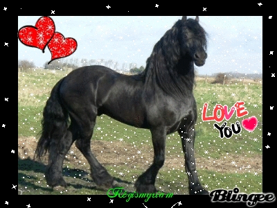 comment le trouvez-vous ?