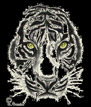 tigers