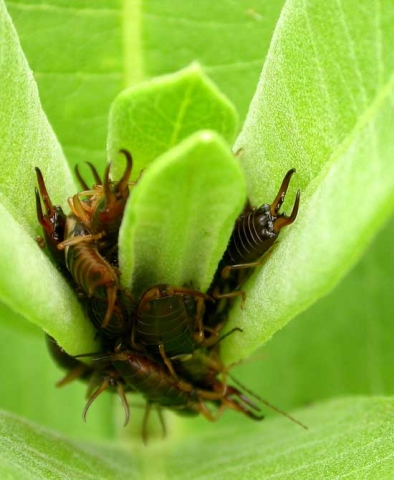 em c'est sanss vous dgot 