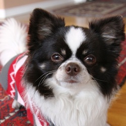 Vous y comprendrai rien x)  !!!!