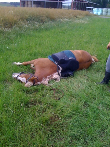 j'aime les  beau mec 