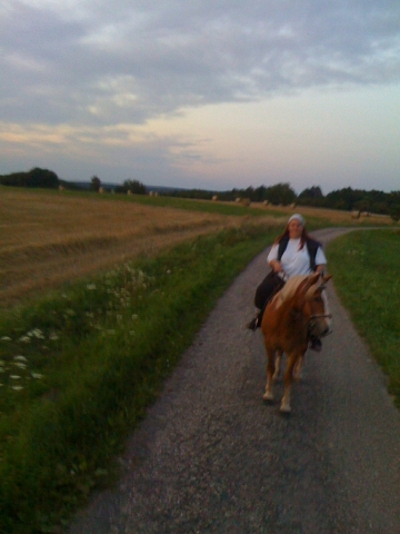 j'aime les chevaux trop de trop