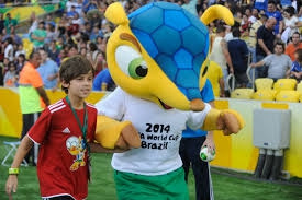FIFA World Cup Brazil 2014 - photo 2