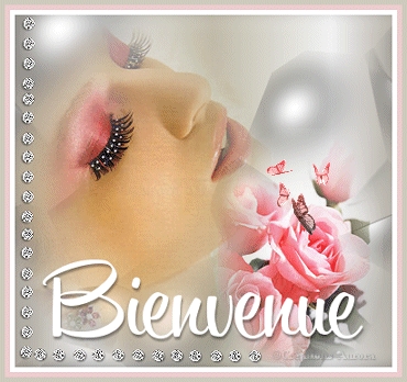 bienvenue dans mon blog