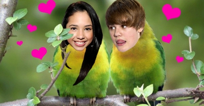 justin  bieber   the   jasmine    villegas