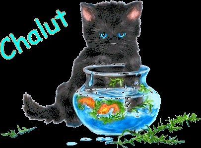 chalut bienvenue sur mon nouveaux blog 
