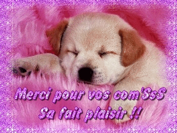 merci pour vos com's sa fait plaisir !!