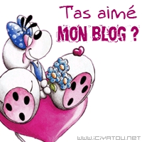 t as aim� mon blog lache tes com's 