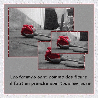 les femmes sont comme des fleurs