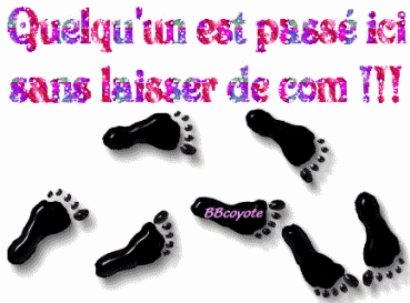 quelqu'un est pass� ici sans laisse de com !!! 