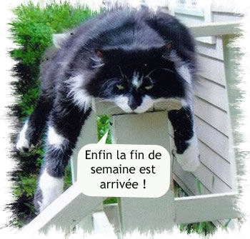 enfin la fin de la semaine est arriv�e !!!!