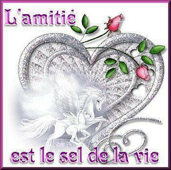 l'amiti� est le sel de la vie 