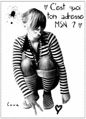 c koi ton adresse msn ?
