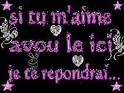 dit moi