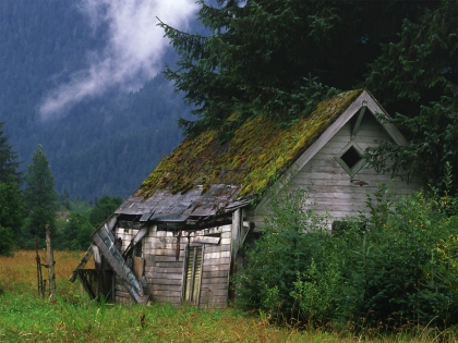 cette cabane et vielle