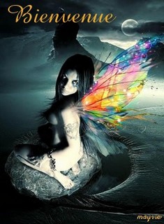 bienvenue 