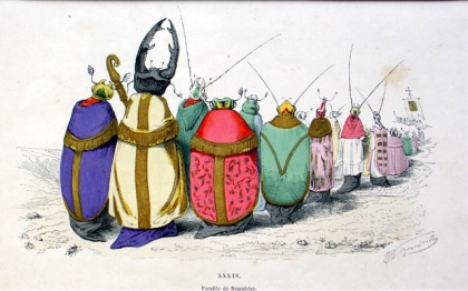 1 2 3 il grandise si vite