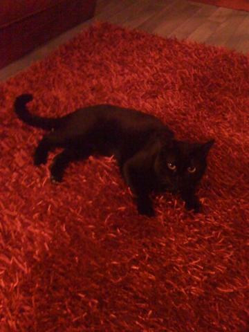 mons petit q.s   de moi