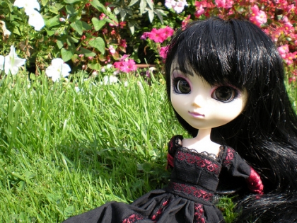 Mon histoire ( elle est invente par moi )