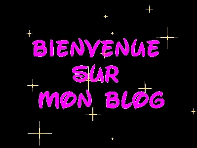 bbbiiieeenvenue sur mon blog