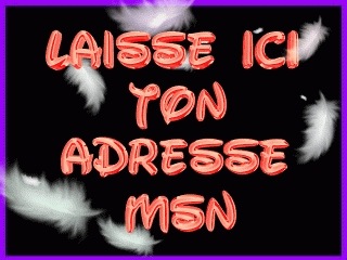 laisse ton msn