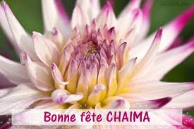 joyeux anniversair m'as puce (chaima)