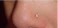 mon  piercing  o  nez