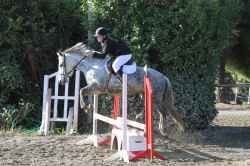 ma  passion  