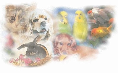 ............................................................