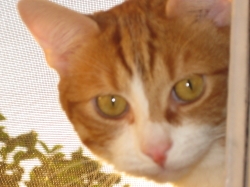 vous le trouv�e comment