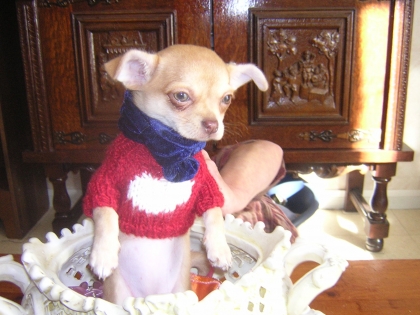 e oui jsui la seoeur a ariana2001