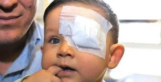 enfant mordu par un pitbull