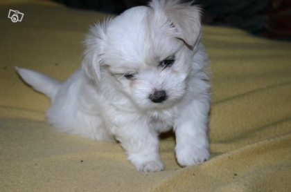 venez verre moiiiiiiiiiiiiiiiiiiiiiiii