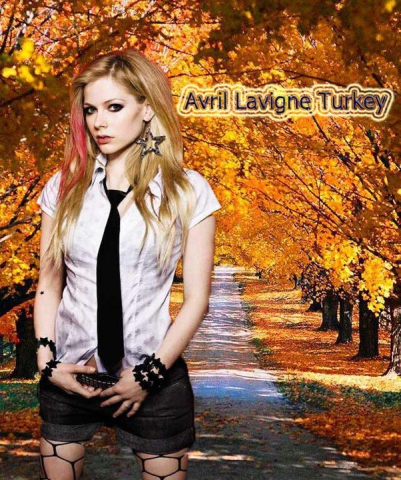 Pour Avril Lavigne 21 - photo 3