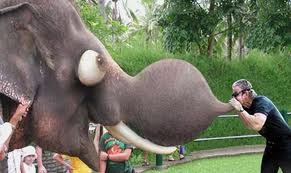 joe!!!!!!!!!!!!!!!!!!!!!