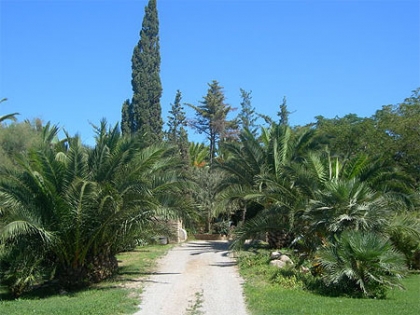 photo jardin en espagne