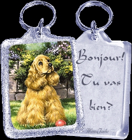 le chien  qui dit bonjour 