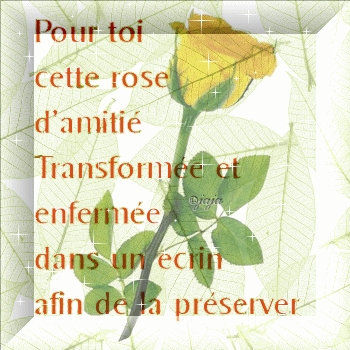 pour mes meilleures amies