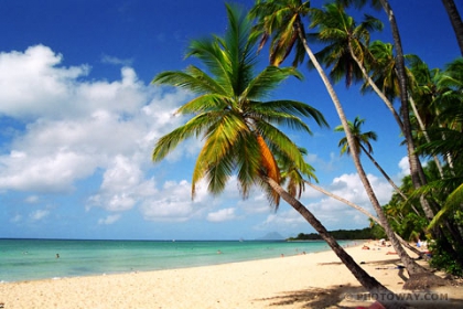 plage,Plage,PLage,PLAge,PLAGe,PLAGE !!!^^