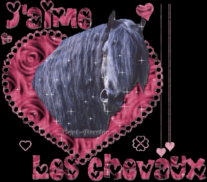 J'adore les chevaux !!