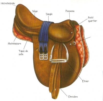 info sur la selle