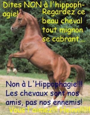 Non a l'hipophagie